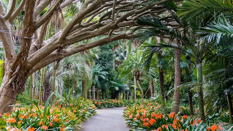 how much is royal tasmanian botanical gardens