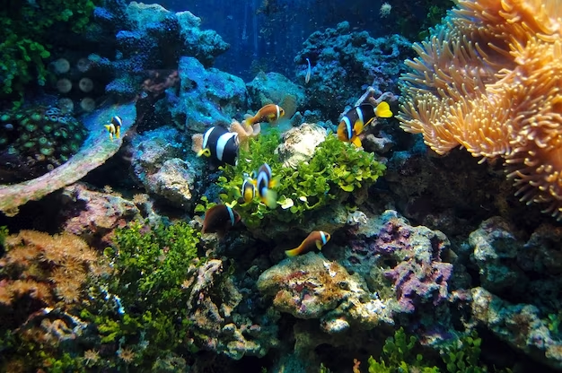 big aquariums to visit