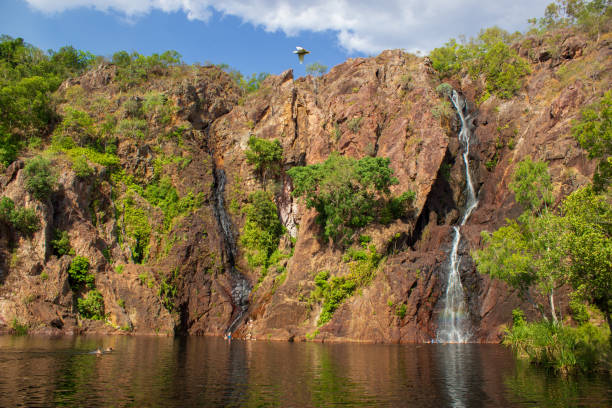 darwin to kakadu tours