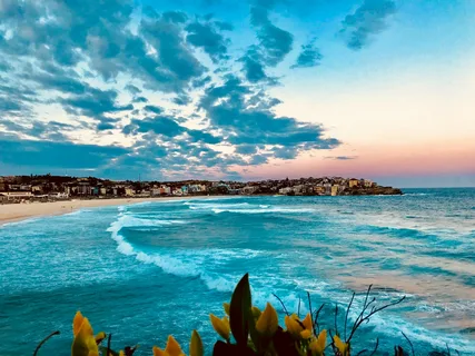 australia bondi beach apartments