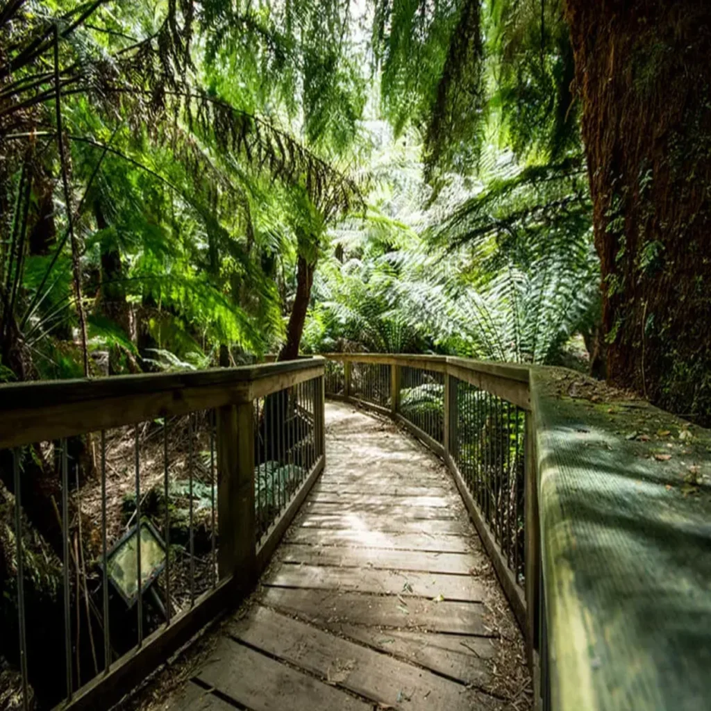 Great Otway National Park