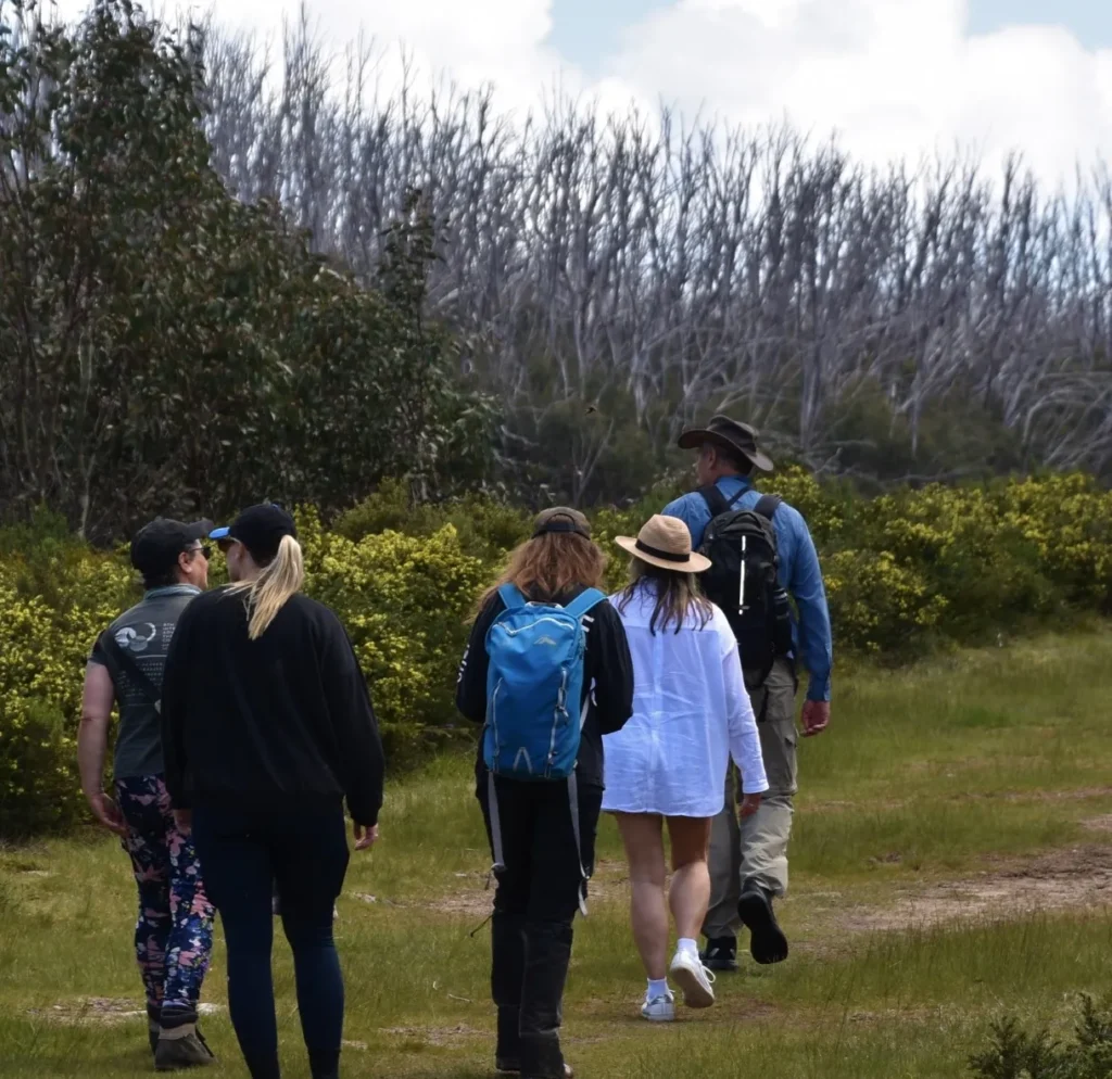Nature Walks