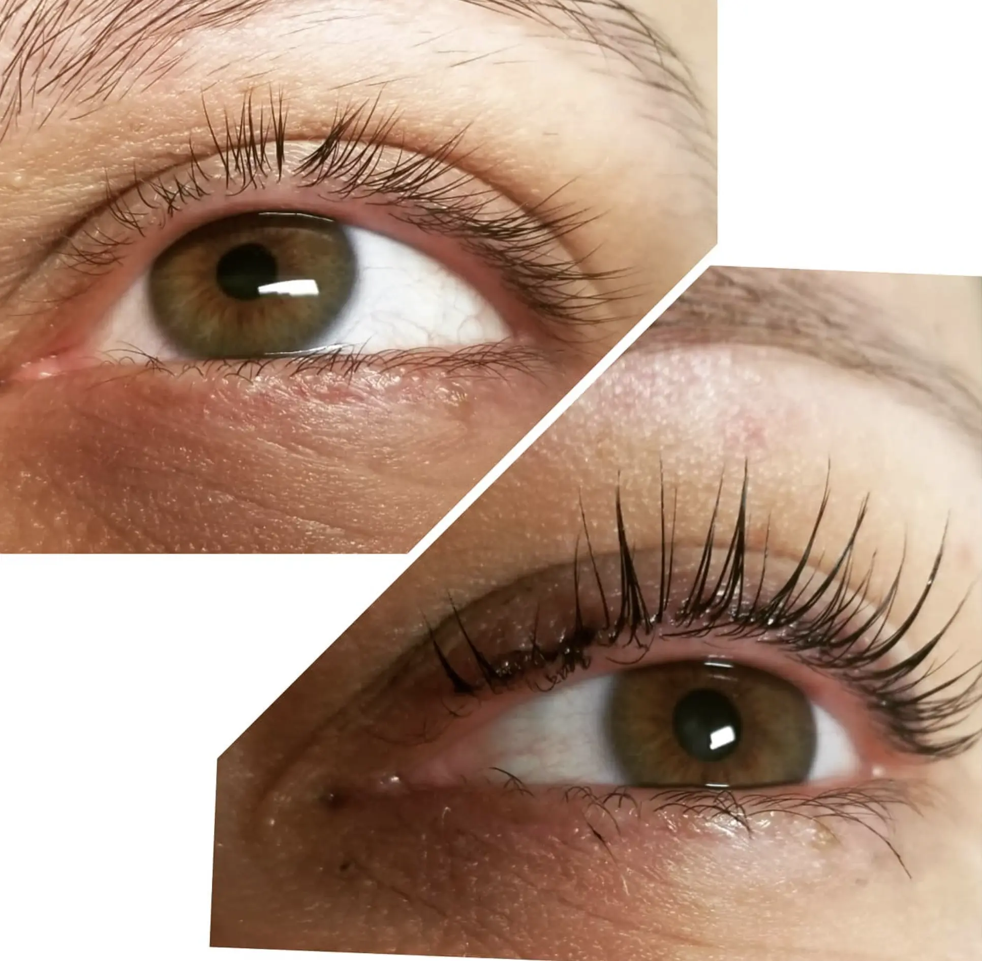 oil-free eyelash shampoo