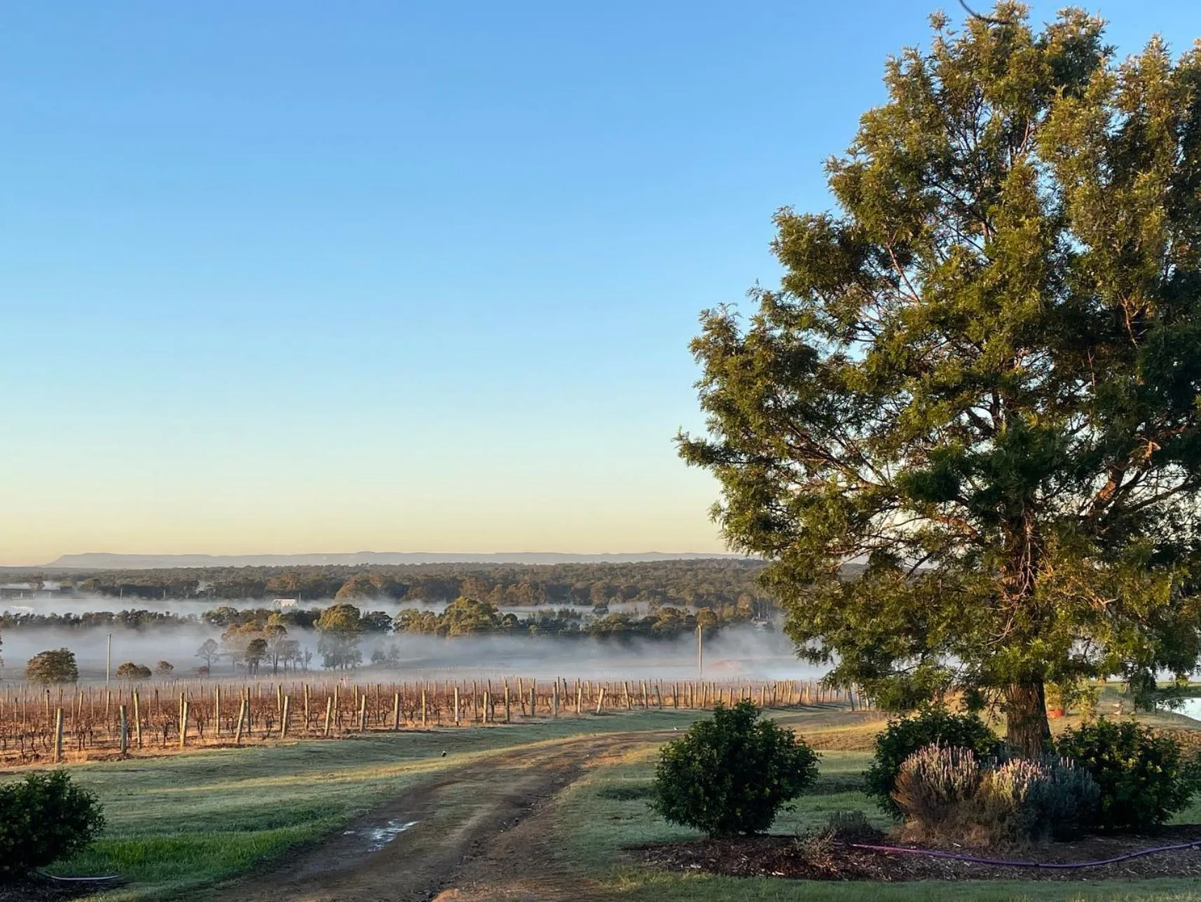 1 Day Hunter Valley Wine Tour