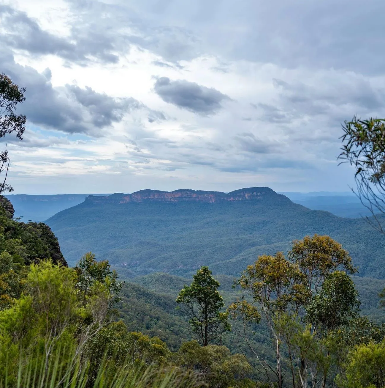 Blue Mountains