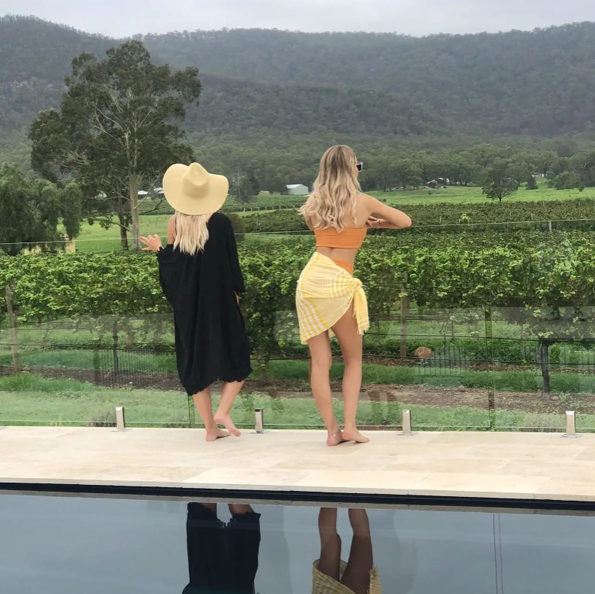 Modern Life Among the Vines