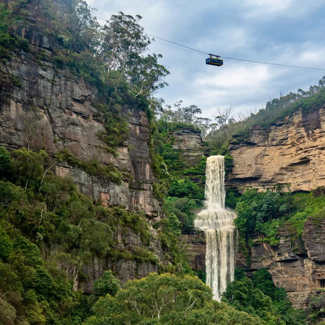 Scenic World